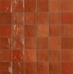 AC-2172C - ZELLIEGE CORALLO SUBWAY GLOSS - 100X100MM