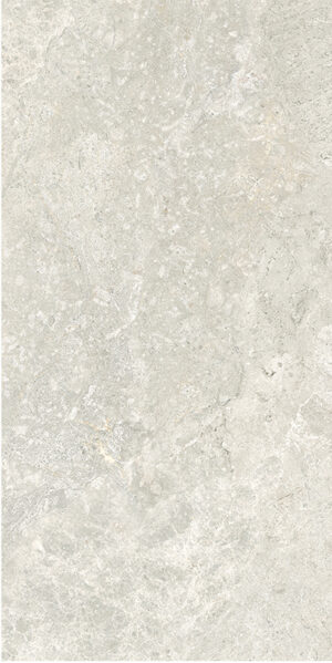 36ST02R - ARCTIC TUNDRA BEIGE MATT - 300X600mm