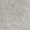 60ST07R - ARCTIC TUNDRA GREY MATT - 600X600