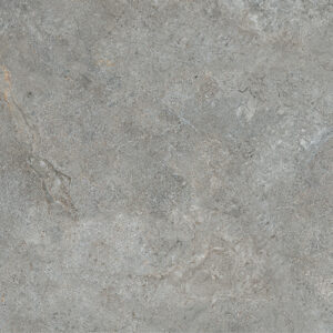 AC-02538JJ- ANDES GREY PAVER - 600X600MM