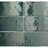 AC-1254D - ARTISAN MOSS GREEN SUBWAY GLOSS - 65X200MM