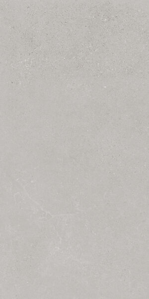 C36173 - CRETE PEARL GREY MATT - 300X600mm